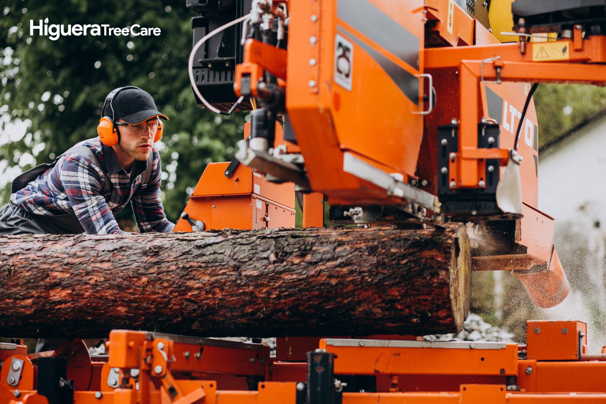How Professional Tree Stump Removal Services in San Diego Minimize Risk
